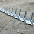 Hot Dipped Galvanized Anti Climb Anti Theft Wall Top spikes